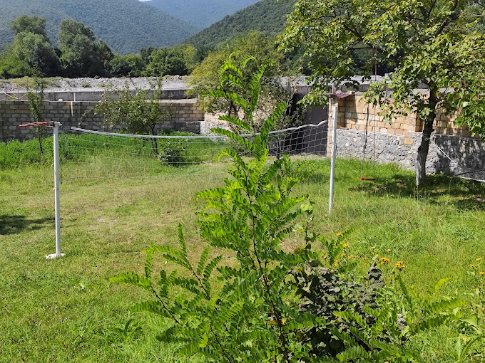 Tam təchiz olunmuş mətbəx